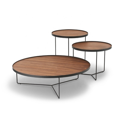 La madera del Mdf de Contemperary y la mesa de centro ovales del metal fijaron los muebles para la sala de estar